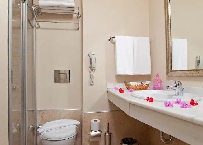 瑞米酒店 4* 阿拉尼亚