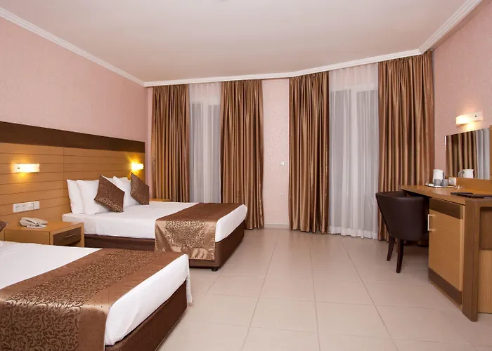 酒店 瑞米酒店 4*