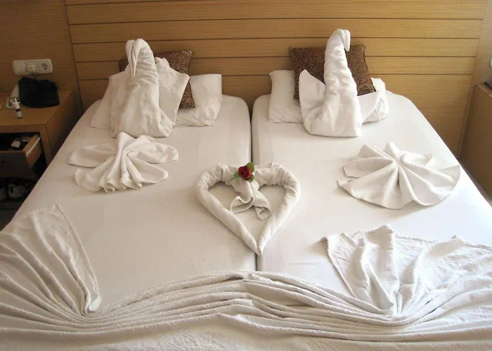 瑞米酒店 阿拉尼亚